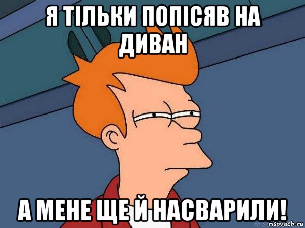 я тільки попісяв на диван а мене ще й насварили!, Мем  Фрай (мне кажется или)