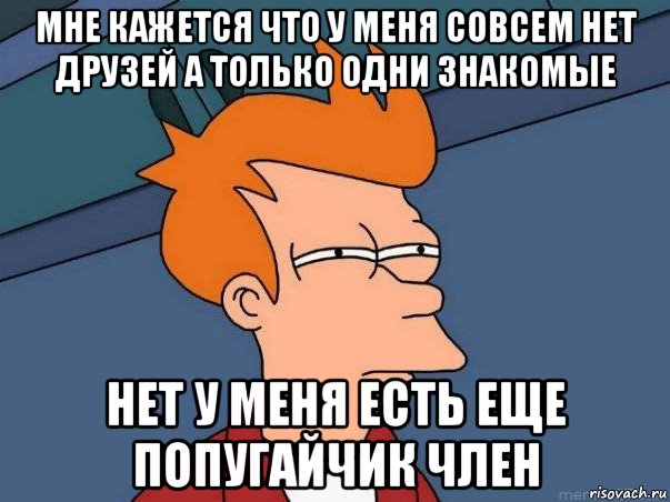 мне кажется что у меня совсем нет друзей а только одни знакомые нет у меня есть еще попугайчик член, Мем  Фрай (мне кажется или)