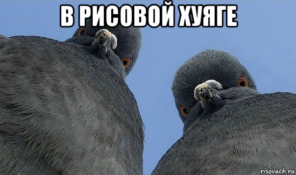 в рисовой хуяге 