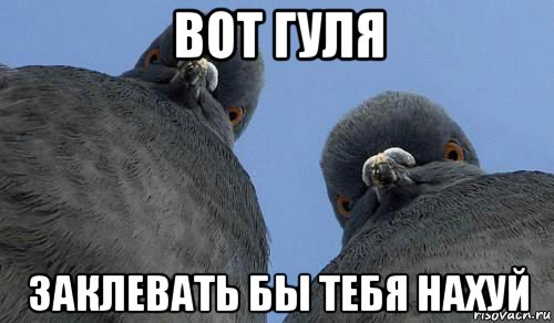 вот гуля заклевать бы тебя нахуй
