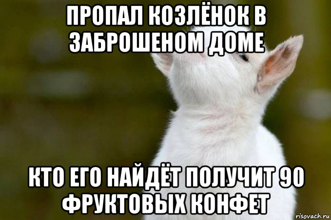 пропал козлёнок в заброшеном доме кто его найдёт получит 90 фруктовых конфет, Мем  Гордый козленок