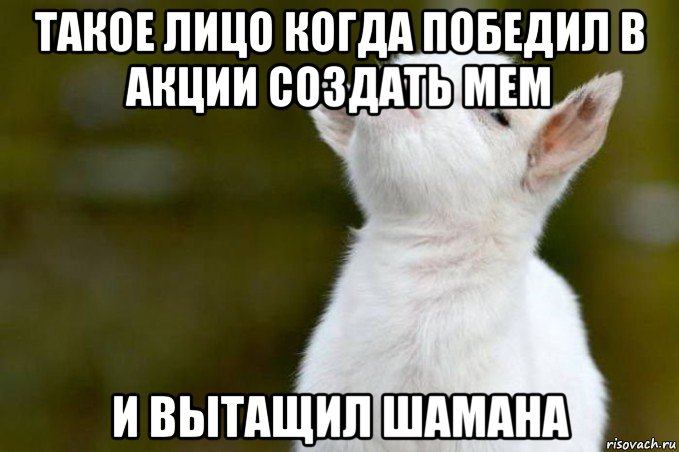 такое лицо когда победил в акции создать мем и вытащил шамана, Мем  Гордый козленок