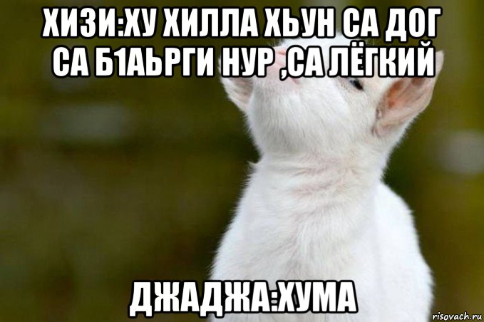 хизи:ху хилла хьун са дог са б1аьрги нур ,са лёгкий джаджа:хума, Мем  Гордый козленок