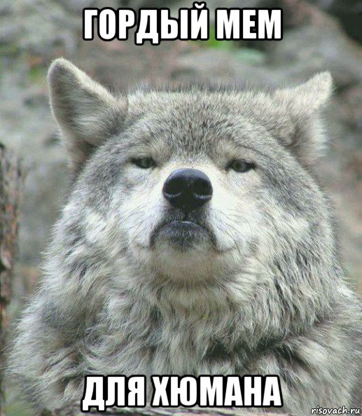 гордый мем для хюмана, Мем    Гордый волк