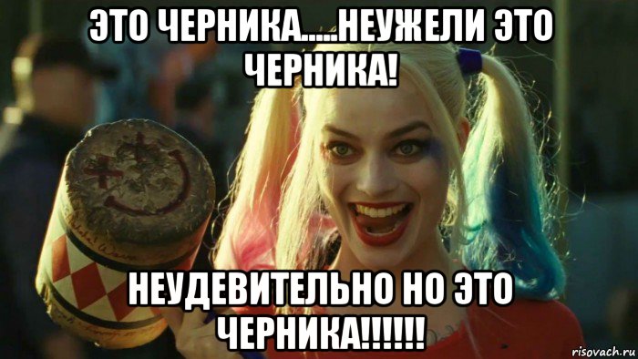 это черника.....неужели это черника! неудевительно но это черника!!!!!!, Мем    Harley quinn