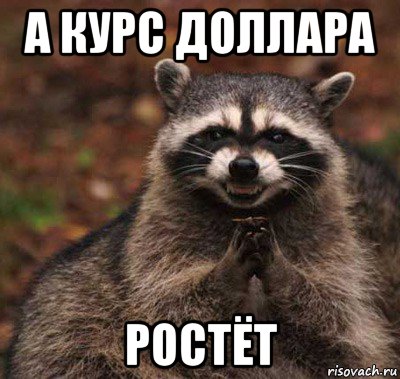 а курс доллара ростёт