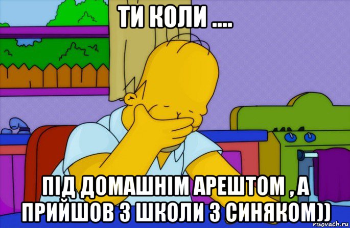 ти коли .... під домашнім арештом , а прийшов з школи з синяком)), Мем Homer simpson facepalm