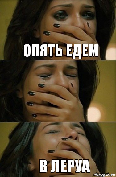 опять едем в леруа