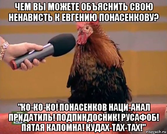 чем вы можете объяснить свою ненависть к евгению понасенкову? "ко-ко-ко! понасенков наци-анал придатиль! подпиндосник! русафоб! пятая каломна! кудах-тах-тах!", Мем Интервью с петухом