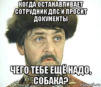 когда останавливает сотрудник дпс и просит документы чего тебе ещё надо, собака?, Мем Иван васильевич