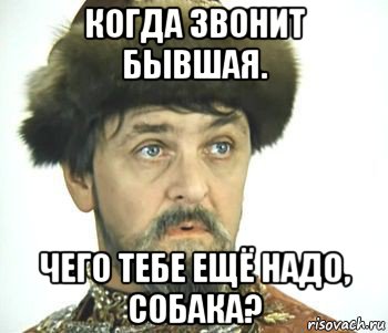 когда звонит бывшая. чего тебе ещё надо, собака?, Мем Иван васильевич