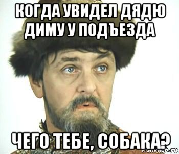 когда увидел дядю диму у подъезда чего тебе, собака?, Мем Иван васильевич