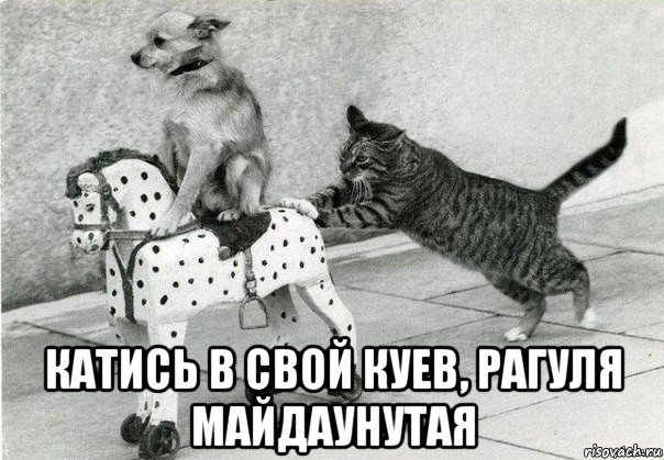  катись в свой куев, рагуля майдаунутая
