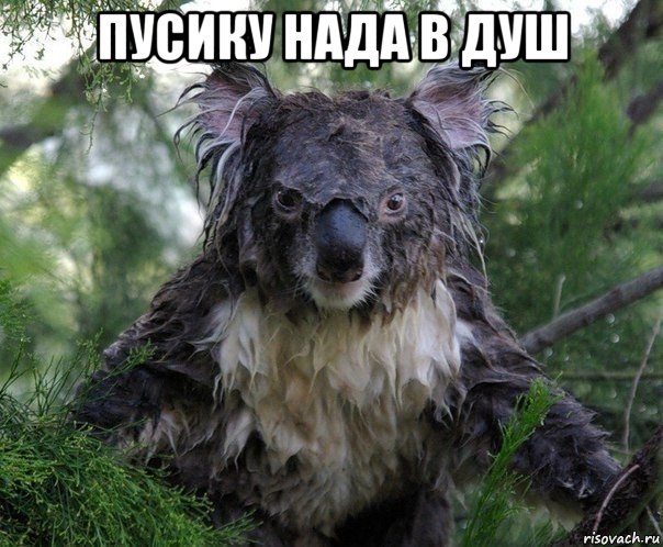 пусику нада в душ 