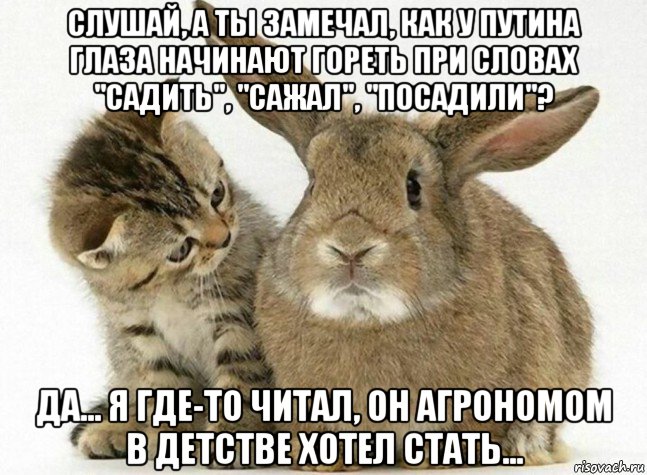 слушай, а ты замечал, как у путина глаза начинают гореть при словах "садить", "сажал", "посадили"? да... я где-то читал, он агрономом в детстве хотел стать...