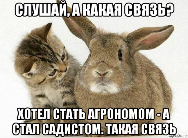 слушай, а какая связь? хотел стать агрономом - а стал садистом. такая связь