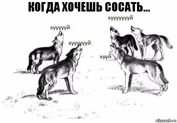 когда хочешь сосать..., Комикс Когда хочешь