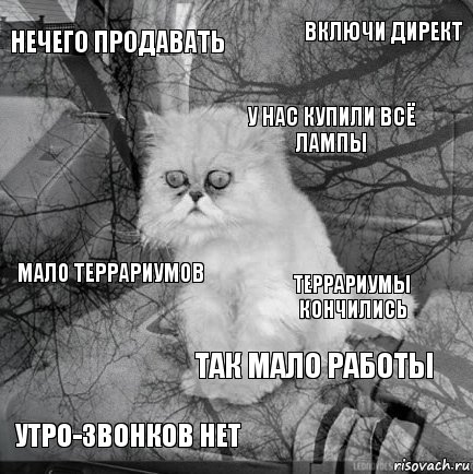 нечего продавать террариумы кончились у нас купили всё лампы утро-звонков нет мало террариумов включи директ так мало работы   , Комикс  кот безысходность