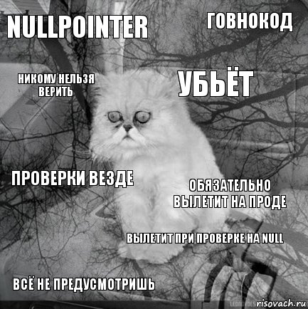 Nullpointer Обязательно вылетит на проде Убьёт Всё не предусмотришь Проверки везде говнокод вылетит при проверке на null никому нельзя верить  , Комикс  кот безысходность