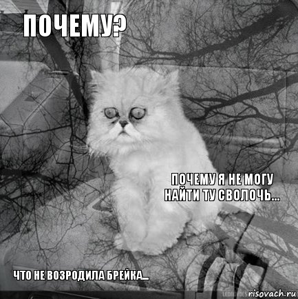 Почему? Почему я не могу найти ту сволочь...  Что не возродила Брейка...      , Комикс  кот безысходность