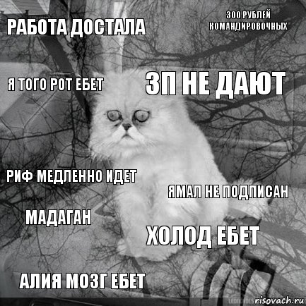 Работа достала Ямал не подписан ЗП не дают Алия мозг ебет Риф медленно идет 300 рублей командировочных Холод ебет Я того рот ебет Мадаган , Комикс  кот безысходность