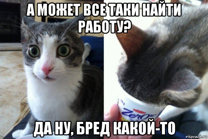 а может все таки найти работу? да ну, бред какой-то, Мем Кот да не бред какой то