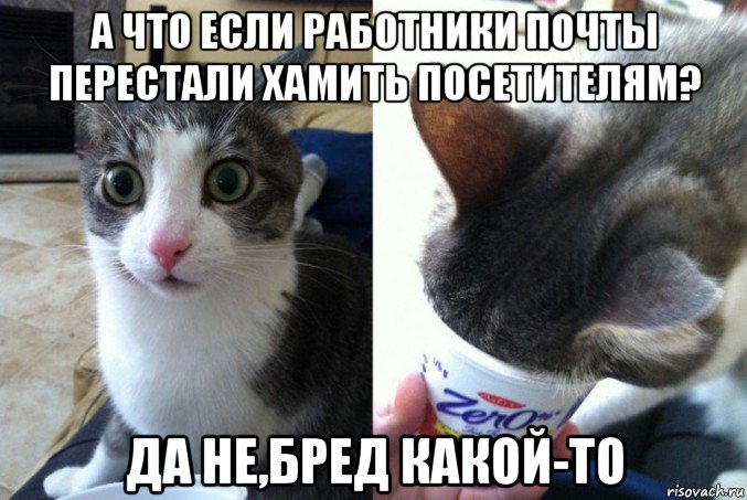 а что если работники почты перестали хамить посетителям? да не,бред какой-то, Мем Кот да не бред какой то