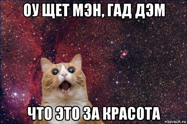 оу щет мэн, гад дэм что это за красота, Мем кот космос