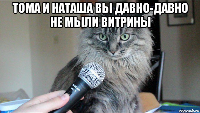 тома и наташа вы давно-давно не мыли витрины 