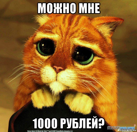 можно мне 1000 рублей?, Мем Котик из Шрека