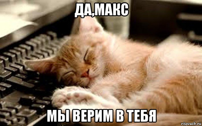 да,макс мы верим в тебя, Мем Кот спит