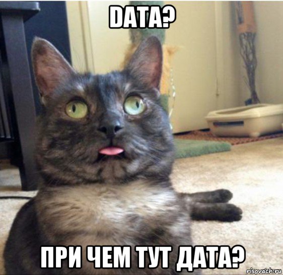 data? при чем тут дата?, Мем   Кот завис