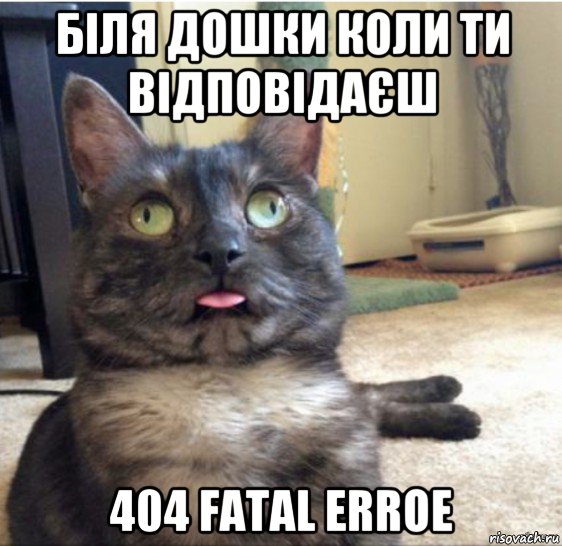 біля дошки коли ти відповідаєш 404 fatal erroe, Мем   Кот завис