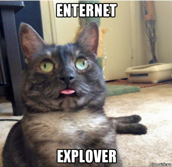 enternet explover, Мем   Кот завис