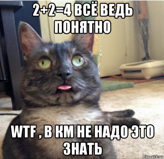 2+2=4 всё ведь понятно wtf , в км не надо это знать, Мем   Кот завис