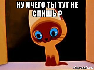 ну ичего ты тут не спишь ? , Мем котенок гав