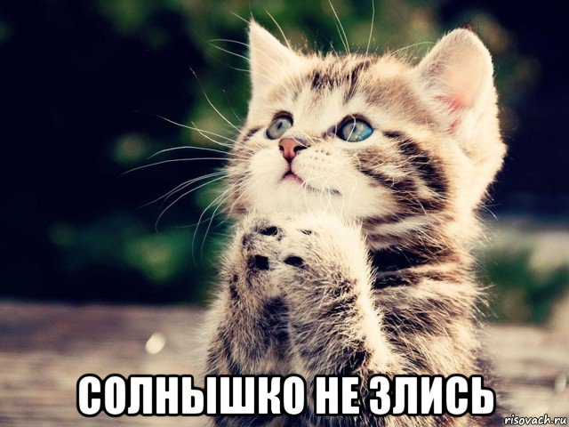  солнышко не злись