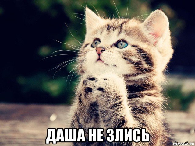  даша не злись