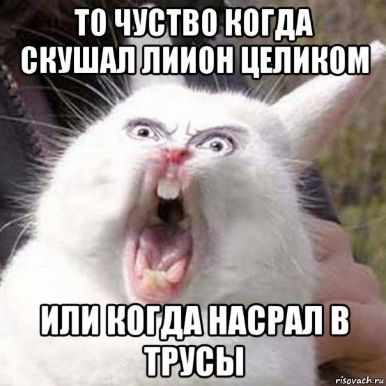 то чуство когда скушал лиион целиком или когда насрал в трусы