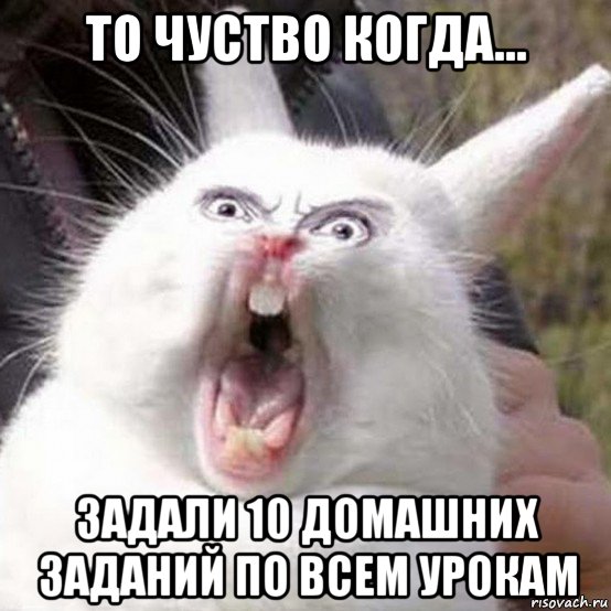 то чуство когда... задали 10 домашних заданий по всем урокам
