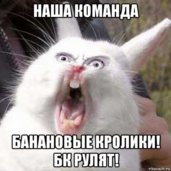 наша команда банановые кролики! бк рулят!
