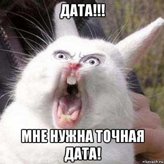 дата!!! мне нужна точная дата!