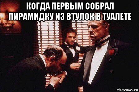 когда первым собрал пирамидку из втулок в туалете 