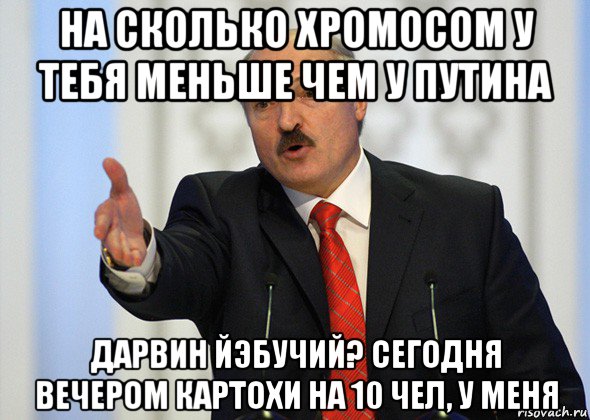 на сколько хромосом у тебя меньше чем у путина дарвин йэбучий? сегодня вечером картохи на 10 чел, у меня