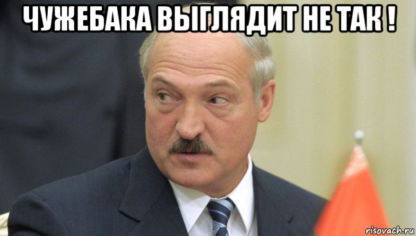 чужебака выглядит не так ! , Мем Лукашенко