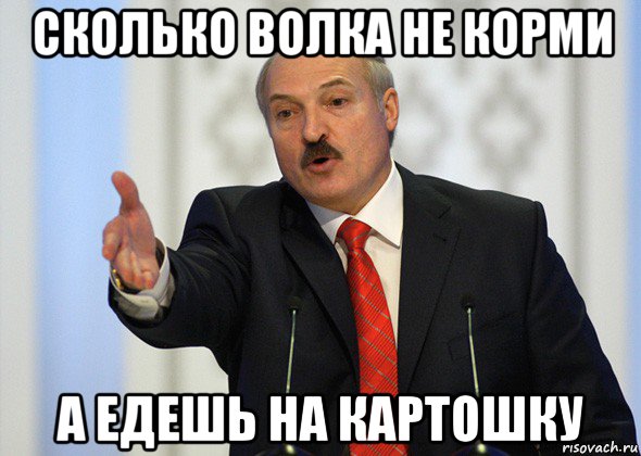 сколько волка не корми а едешь на картошку, Мем лукашенко