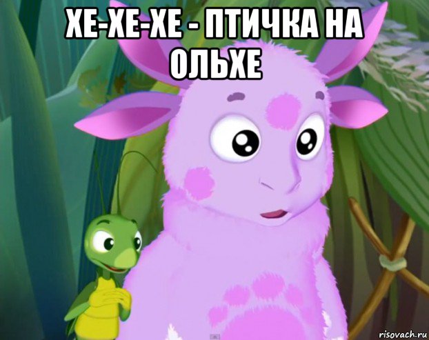 хе-хе-хе - птичка на ольхе 