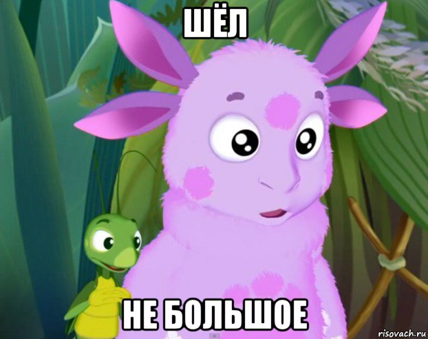 шёл не большое