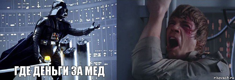 где деньги за мед 