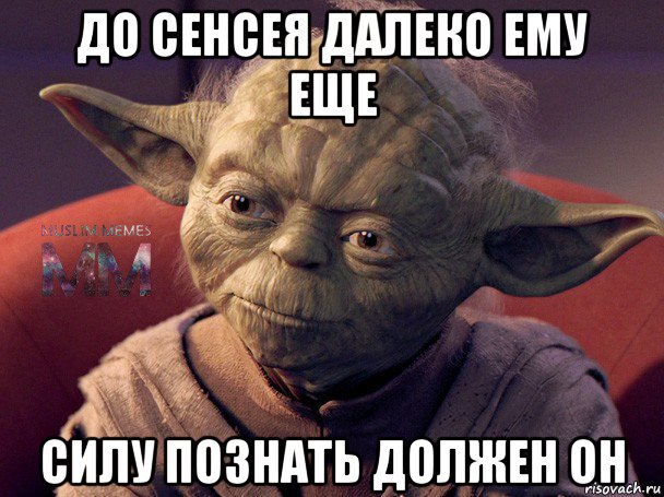 до сенсея далеко ему еще силу познать должен он